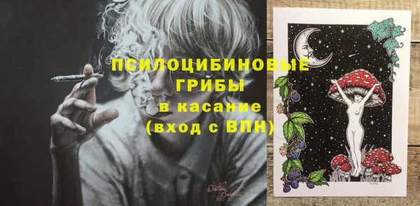 не бодяженный Арсеньев