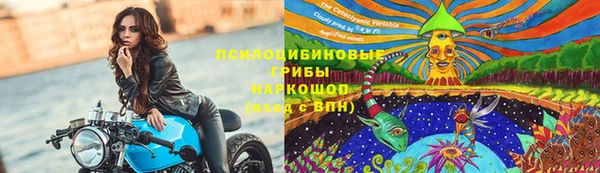 крисы Аркадак