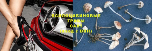 крисы Аркадак